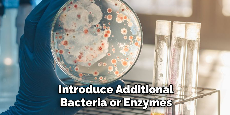 Introduce Additional
Bacteria or Enzymes