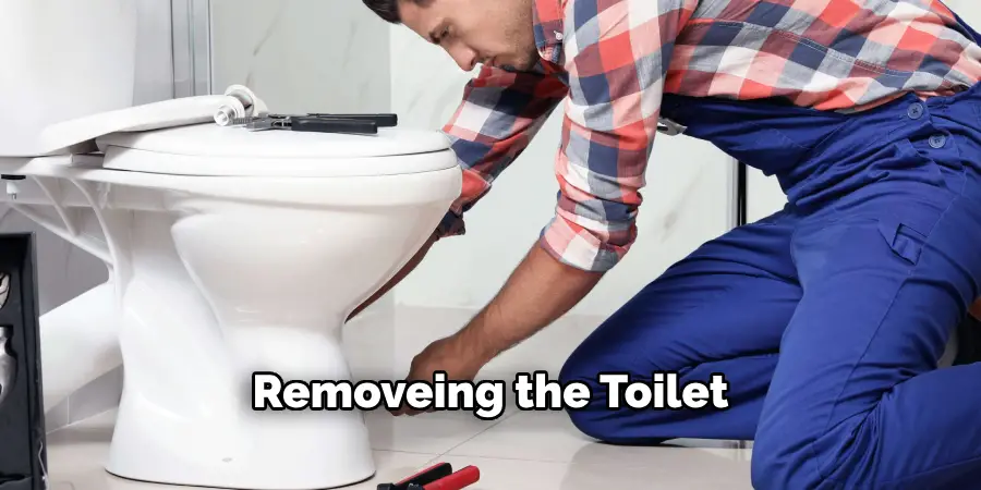 Remove the Toilet