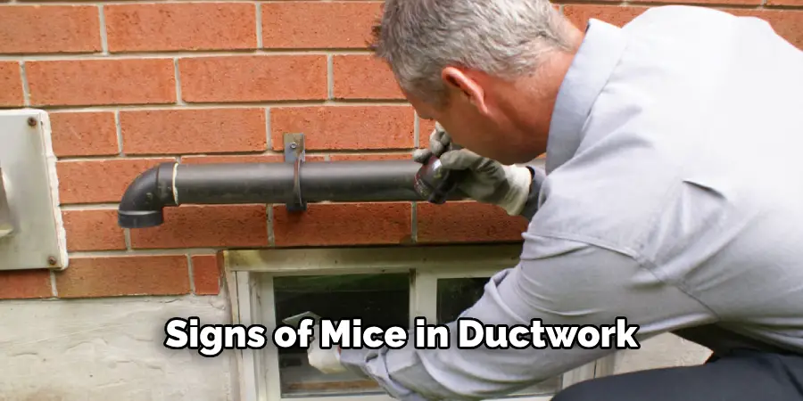 Signs of Mice in Ductwork