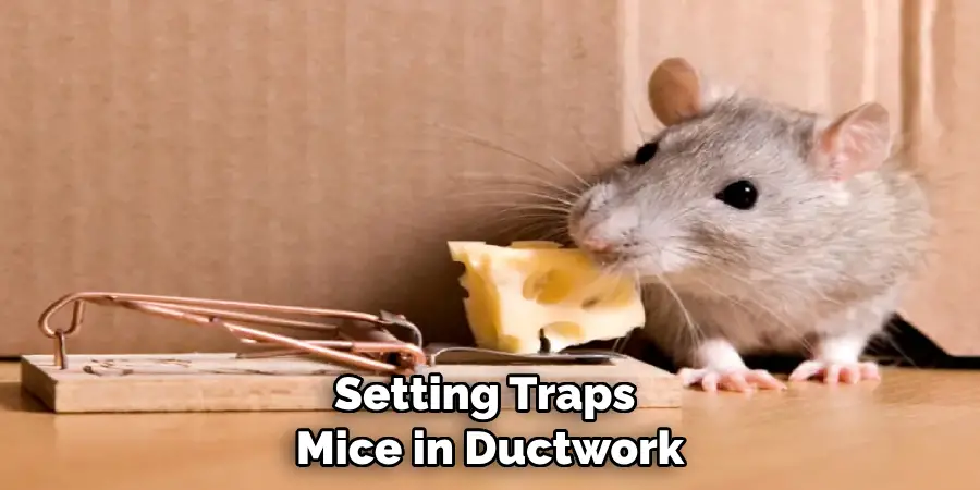 Set Traps Mice in Ductwork