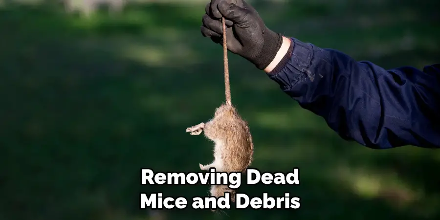 Removing Dead Mice and Debris