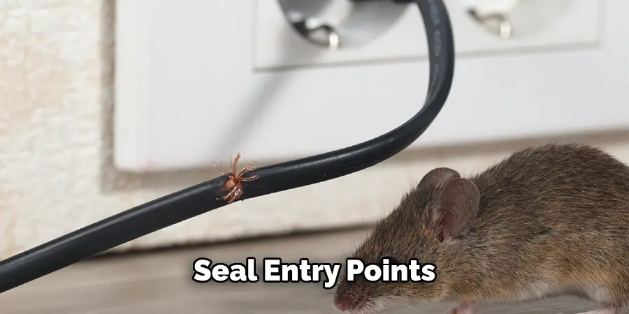 Seal Entry Points