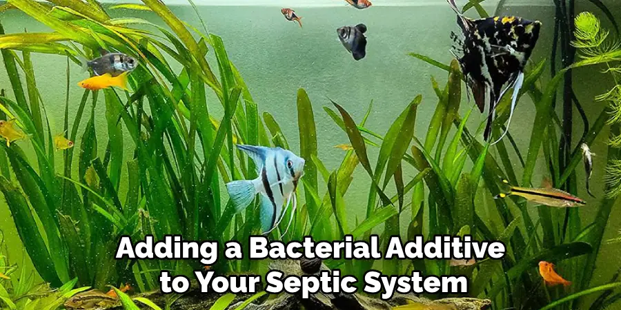 Adding a Bacterial Additive to Your Septic System