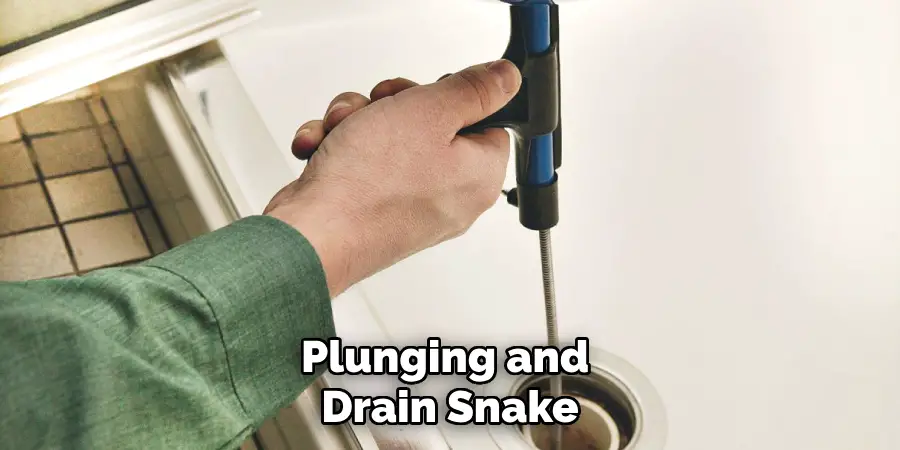 Plunging and Drain Snake