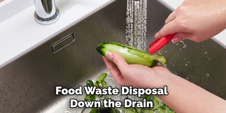 Food Waste Disposal Down the Drain 
