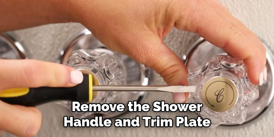 Remove the Shower Handle and Trim Plate