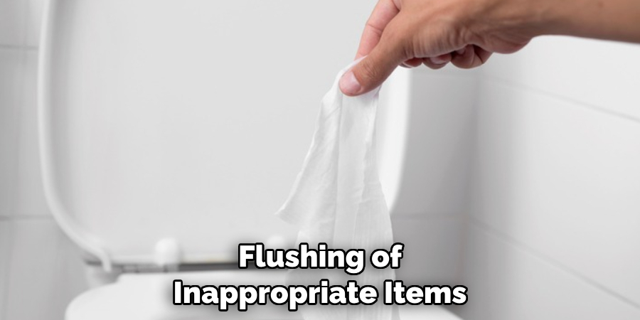 Flushing of Inappropriate Items