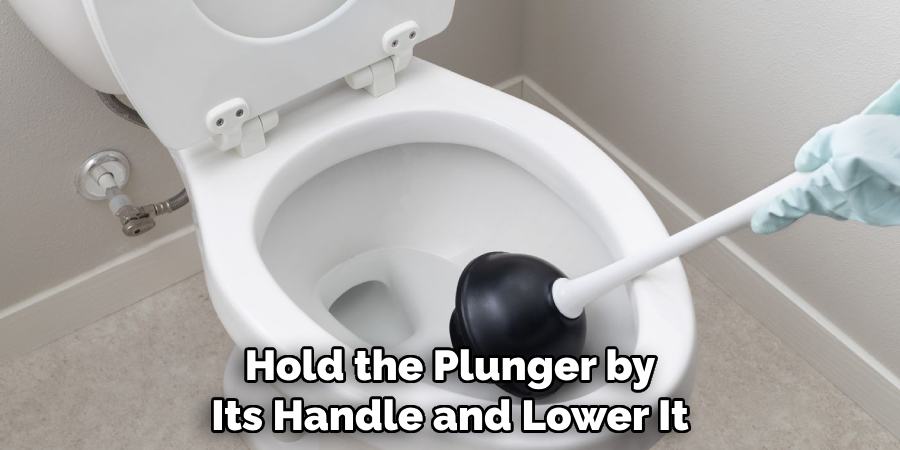 Hold the Plunger by Its Handle and Lower It