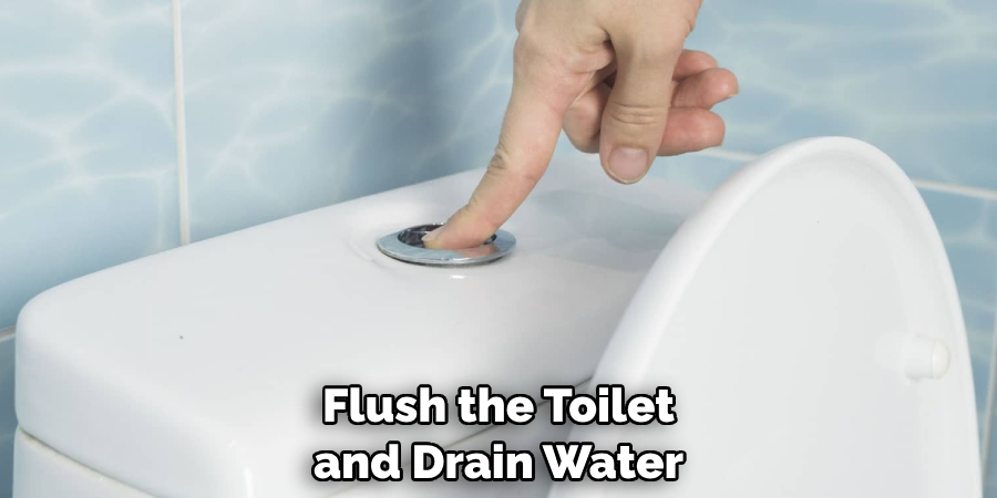 Flush the Toilet and Drain Water