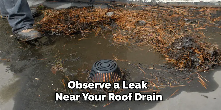 Observe a Leak 
Near Your Roof Drain