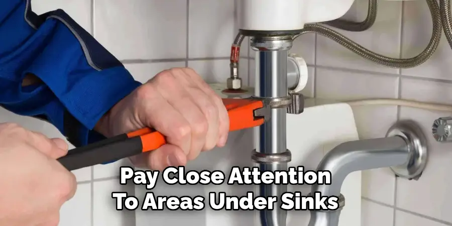 Pay Close Attention
To Areas Under Sinks