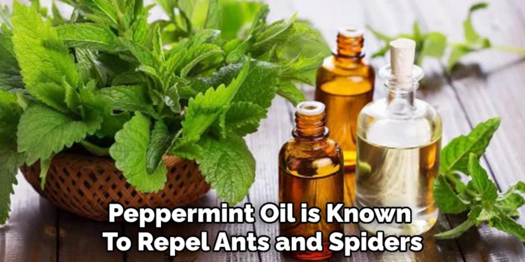 Peppermint Oil is Known 
To Repel Ants and Spiders