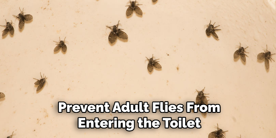 Prevent Adult Flies From
Entering the Toilet