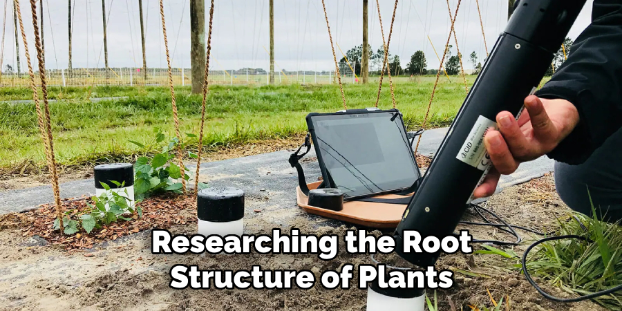 Researching the Root
Structure of Plants