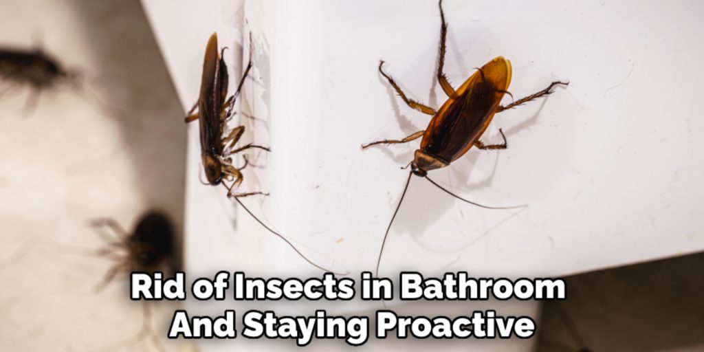 Rid of Insects in Bathroom 
And Staying Proactive