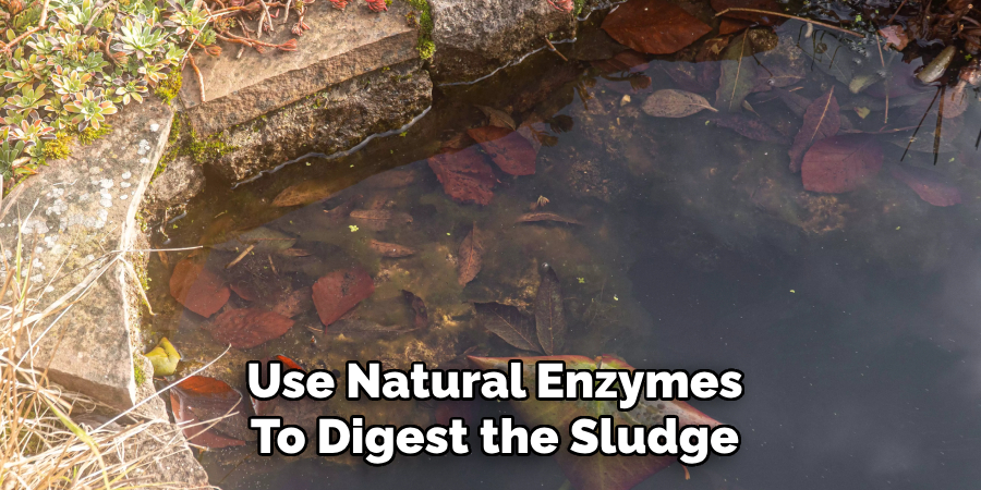 Use Natural Enzymes
To Digest the Sludge