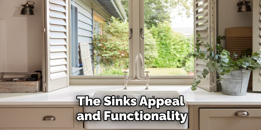 The Sinks Appeal 
and Functionality