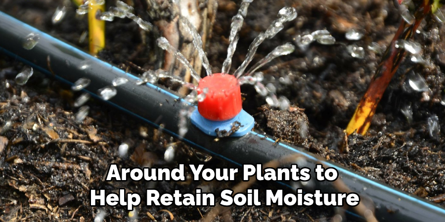 Around Your Plants to 
Help Retain Soil Moisture