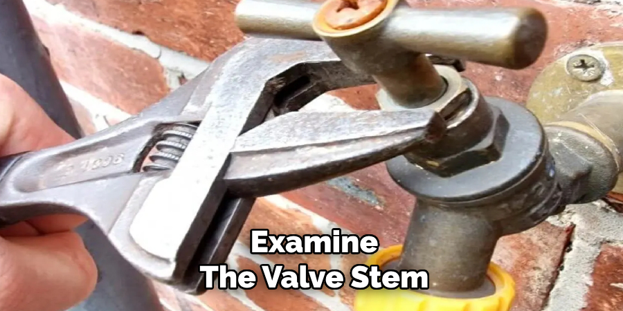 Examine
The Valve Stem