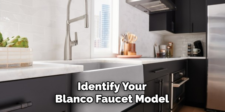 Identify Your Blanco Faucet Model