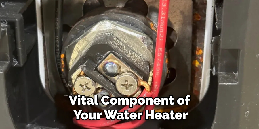 Vital Component of
Your Water Heater