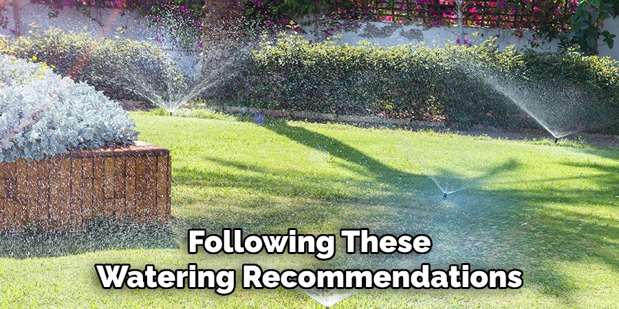 Following These
Watering Recommendations