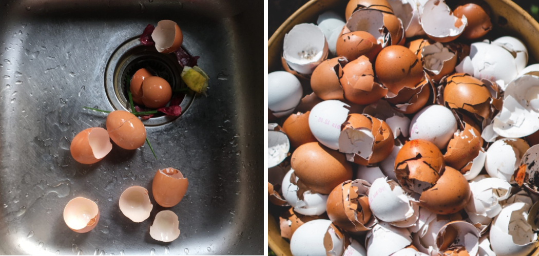 How to Unclog Eggshells in Garbage Disposal