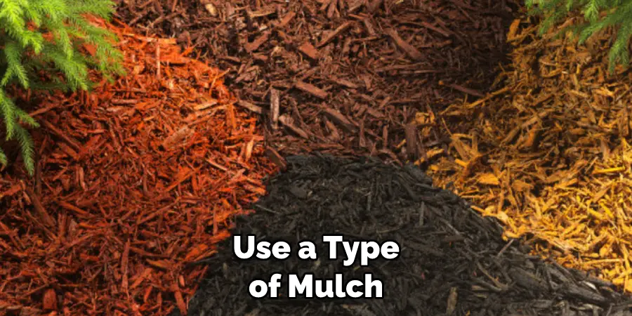 Use a Type of Mulch