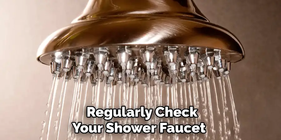  Regularly Check Your Shower Faucet 