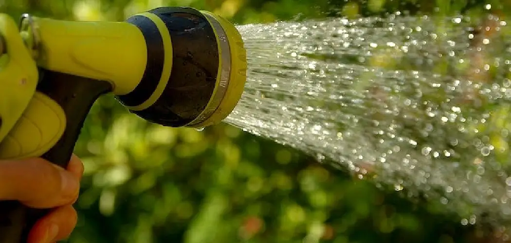 How to Water Arborvitae with Hose