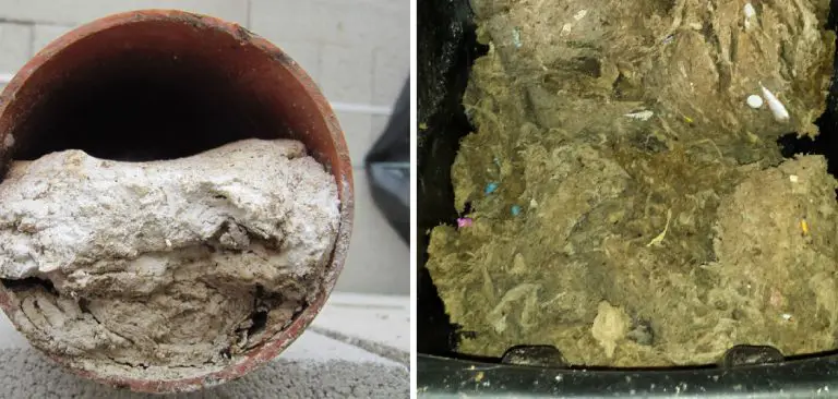 How to Dissolve Flushable Wipes in Septic Tank