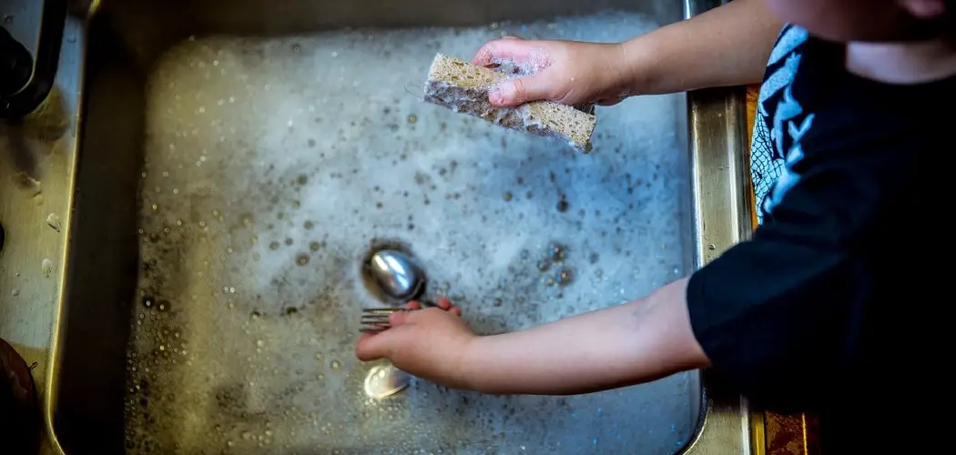 Clean Mold Under Sink