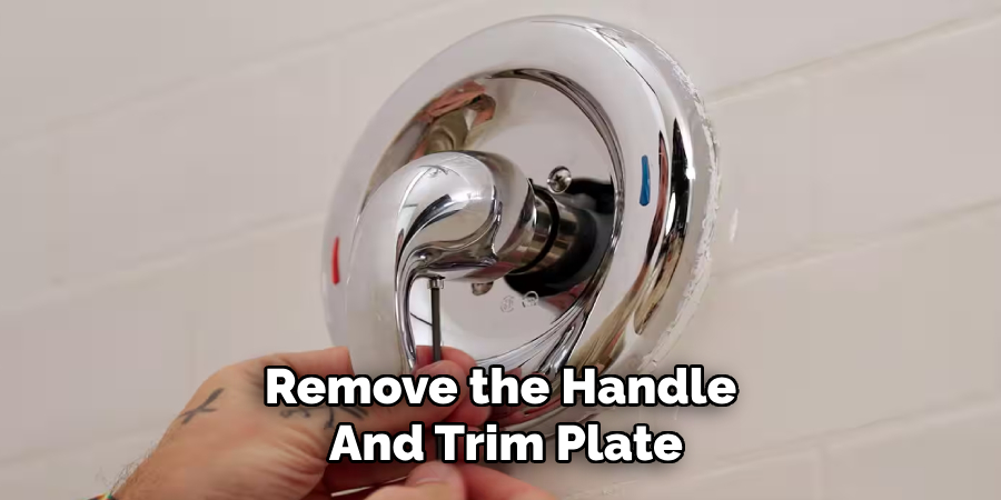 Remove the Handle And Trim Plate